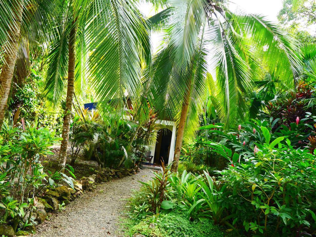 Cabinas Tito Cahuita Cameră foto